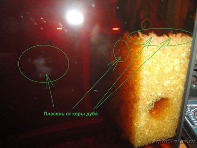 Как понизить ph кислотность воды в аквариуме?