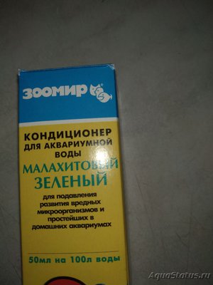Фото Гибнут Тернеции Глофиш, оодинооз, манка или ещё что? (photo#118416)