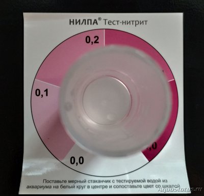 Мой первый маленький аквариум с живыми растениями 50 литров (Света94)