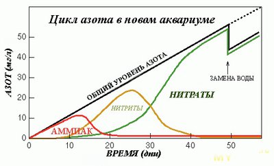 Планирование аквариума