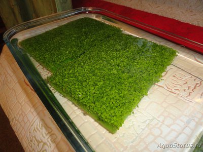 Фото Ихтиофтириоз - лечение анальгин-хинином (photo#120719)