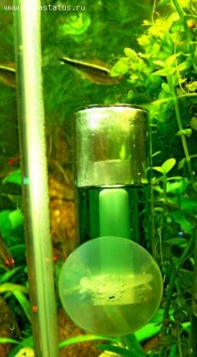 Дроп чекер своими руками (DIY CO2 Drop Checker)