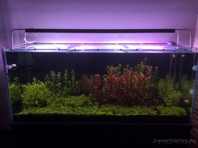 Фото Третий крайний аквариум на 300 литров RomanAqua  (photo#125066)