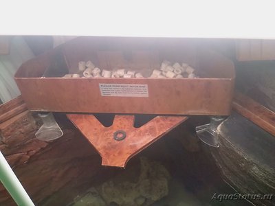 Планирование аквариума