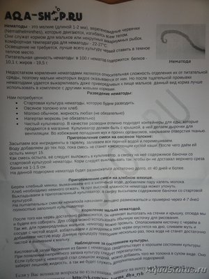 Фото Разведение уксусных нематод на корм для мальков (photo#125635)