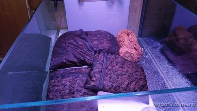 Фото Аквариум Подводный метр 2 400 литров snakebig  (photo#126796)