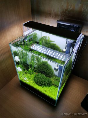 AquaEl Shrimp Set Smart - дом для Рэдфайеров 20 литров (Doctor_Zig)