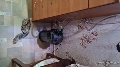 Фото Мой аквариум 85 литров Vanay111  (photo#127138)