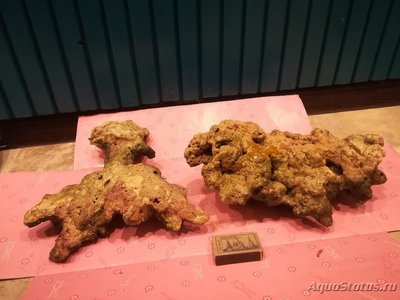 Продам морские живые камни