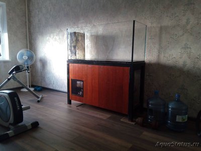 Самп в пресноводном аквариуме