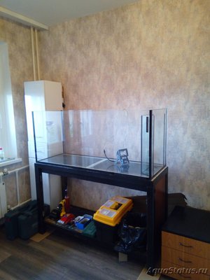 Самп в пресноводном аквариуме