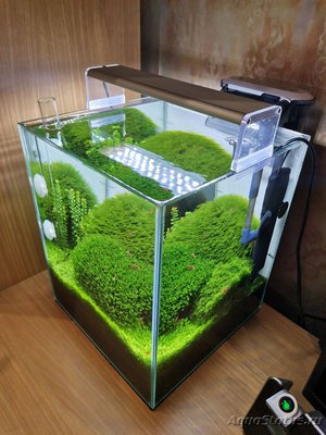 AquaEl Shrimp Set Smart - дом для Рэдфайеров 20 литров (Doctor_Zig)