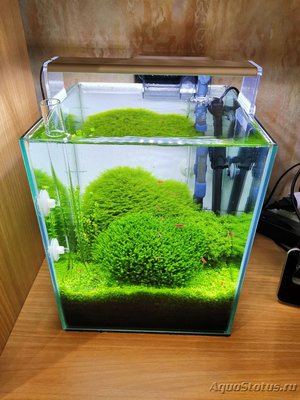 AquaEl Shrimp Set Smart - дом для Рэдфайеров 20 литров (Doctor_Zig)