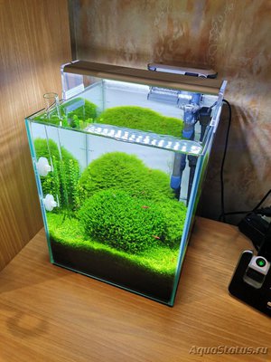 AquaEl Shrimp Set Smart - дом для Рэдфайеров 20 литров (Doctor_Zig)