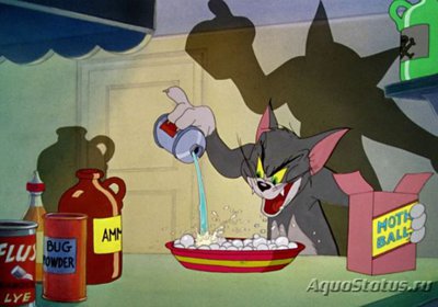 Мой аквариум 37 литров (AnnaS)