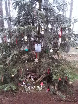 Фото Просто поболтать (photo#129518)