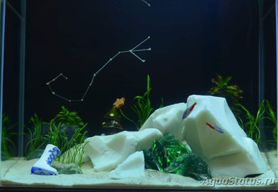Фото Просто поболтать (photo#129563)