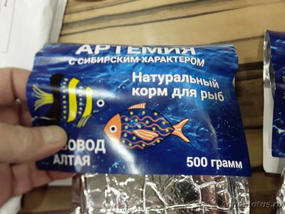 Артемия корм для аквариумных рыб