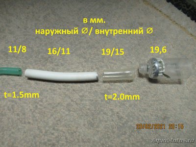 Фото Закисание грунта в аквариуме (photo#130731)