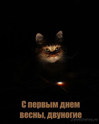 Фото Поздравляем друг друга с разными праздниками (photo#130902)