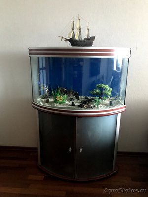 Продам панорамный аквариум на 230 литров