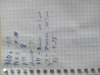 Фото Первый аквариум не без проблем на 30 литров Vlasoff  (photo#133051)
