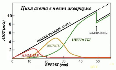 Запуск аквариума