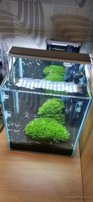 AquaEl Shrimp Set Smart - дом для Рэдфайеров 20 литров (Doctor_Zig)