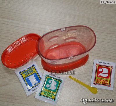 Как содержать аквариум Sea Monkeys?