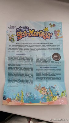 Как содержать аквариум Sea Monkeys?
