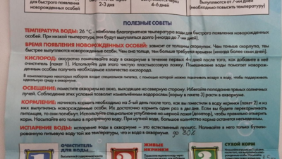 Как содержать аквариум Sea Monkeys?