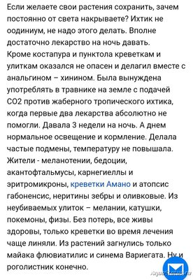 Определение и диагностика болезней у аквариумных рыб