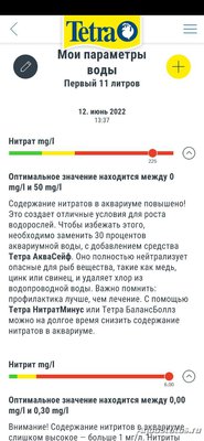 Фото Мини аквариум для новичков (photo#136781)