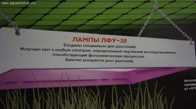 Фото Лампы для растений (photo#13714)
