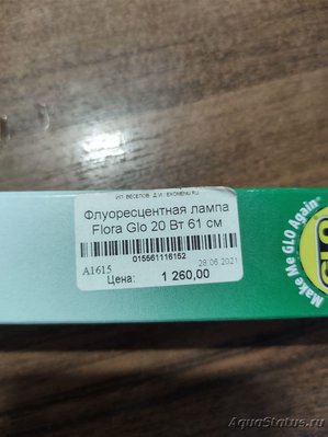 Почему не растут или плохо растут растения в аквариуме?
