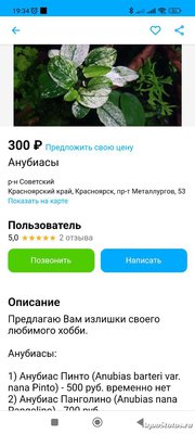Опознание аквариумных растений