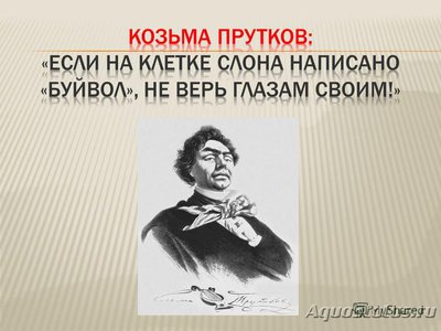 Опознание аквариумных растений