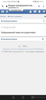 Фото Мой аквариум на 40 литров Юлия-новичек  (photo#137974)