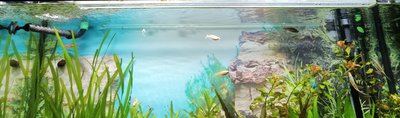 Поток воды в аквариуме.