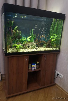Продам 300л под ключ