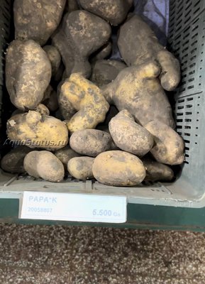 Цены на продукты и еду в Парагвае