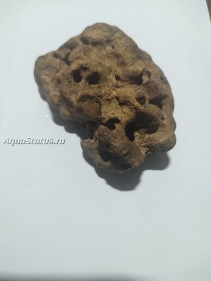 Камни для аквариума. Можно ли камень в аквариум?