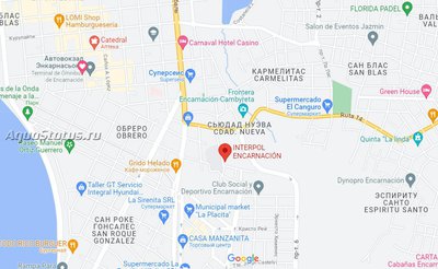 Справка из Интерпола в Энкарнасьоне