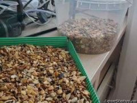 Продам аквариум 20л с оборудованием