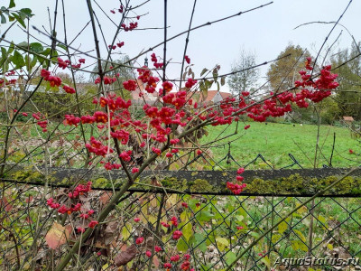 Фото Красивые места, в которых я был (photo#144256)