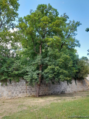 Фото Красивые места, в которых я был (photo#144312)