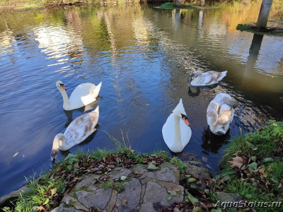 Фото Красивые места, в которых я был (photo#144366)
