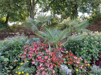 Фото Красивые места, в которых я был (photo#144403)