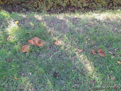 Фото Красивые места, в которых я был (photo#144530)