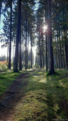 Фото Красивые места, в которых я был (photo#144535)